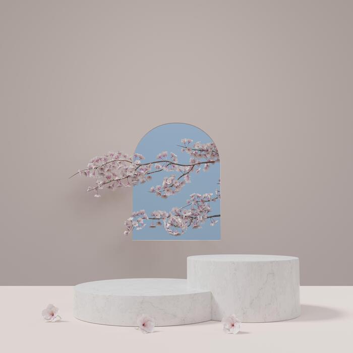 Japanese Umbrella Stock Photos, Images and Backgrounds for Free Download