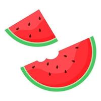 Pieces of juicy watermelon. Vector illustration.