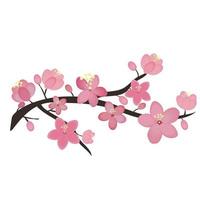 Blooming sakura branch. Vector illustration. Cherry blossom. Isolated on white background, japanese sakura flowers.