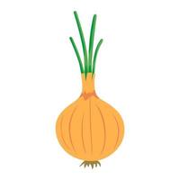 Onion. Vector illustration.