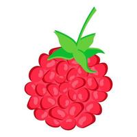 Raspberry icon. Ripe berry sign. Vector illustration.