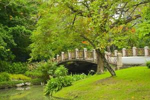 paisaje de árboles, flores y puentes en el parque chatuchak, bangkok, tailandia foto