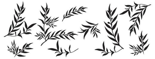 Set of tree branches, eucalyptus, leaves, herbs and flowers silhouettes vector