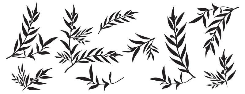 Set of tree branches, eucalyptus, leaves, herbs and flowers silhouettes