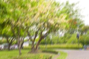 Decoration of trees and flowers in full bloom in Chatuchak Park in Bangkok, Thailand photo