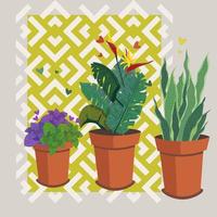 Set of popular indoor plants. Fashionable plants for the home. Vector illustration. Collection of indoor plants on the ornament. Houseplants growing in pots or planters.