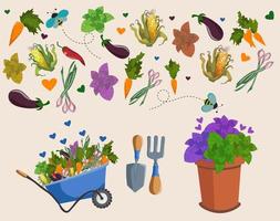 Cute bright garden set. Garden tools, rakes, equipment or plants collection, wooden box, wheelbarrow,vegetables isolated. Agriculture vector illustration set. Spring and summer. Gardening or horticult