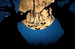 fondo de noche de halloween con luna, búho, araña, murciélago y árbol viejo. foto