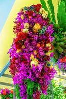 Flowers are beautiful and refreshing photo