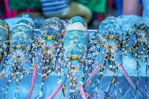 Closeup of fresh lobster for sale to the grill. photo