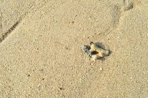 white sand beach. beach sand background photo