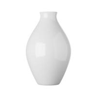 White ceramic vase isolated on white background, 3d rendering photo