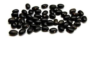 Black bean isolated on the white background photo