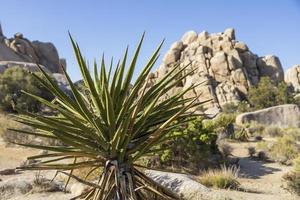 paisaje rocoso en medio del desierto foto