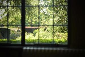 jardín a través de una ventana foto