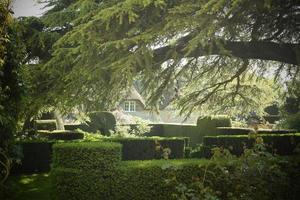 English Country Cottage photo