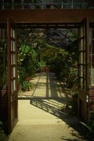 Looking inside a garden greenhouse photo