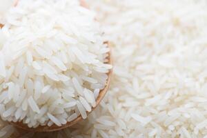 Close up of grains of jasmine rice photo