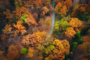 Aerial view of road in beautiful autumn forest - Top view shot drone. photo