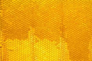 Honeycomb from bee hive filled with golden honey photo