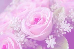 Pink rose flowers photo