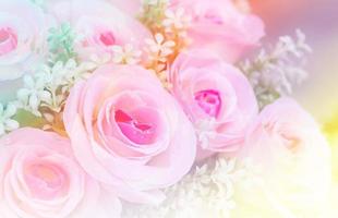 Pink rose flowers photo