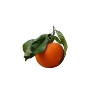 Ripe tangerine with leaves isolated fresh tropical fruit close-up, healthy organic diet concept photo