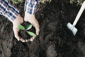 un hombre está plantando árboles jóvenes en el suelo de un bosque tropical, plantando un árbol de reemplazo para reducir el calentamiento global. el concepto de salvar el mundo y reducir el calentamiento global.