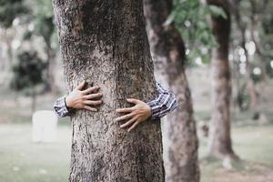 People embrace large trees in the forest, non-destructive campaign to save nature, anti-deforestation, plant replacement to reduce global warming. Concept saving the world and reducing global warming. photo