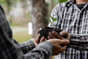 dos personas que llevan árboles jóvenes para plantar en un bosque tropical, una campaña de plantación de árboles para reducir el calentamiento global. el concepto de salvar el mundo y reducir el calentamiento global. foto