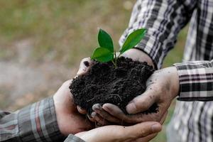 dos personas que llevan árboles jóvenes para plantar en un bosque tropical, una campaña de plantación de árboles para reducir el calentamiento global. el concepto de salvar el mundo y reducir el calentamiento global. foto