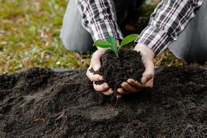 A man is planting tree saplings into the soil in a tropical forest, planting a replacement tree to reduce global warming. The concept of saving the world and reducing global warming. photo