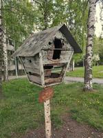 old wooden feeder for birds and animals photo