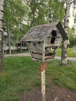 old wooden feeder for birds and animals photo