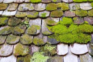 Old damaged wooden roof covered by moss photo