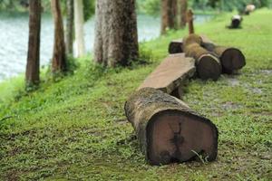 Logs along the reservoir background. photo