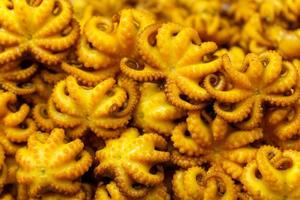Lots of yellow fried squid photo