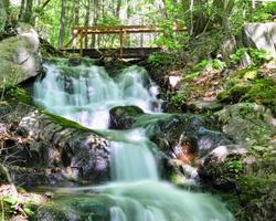 Waterfall in the forest photo