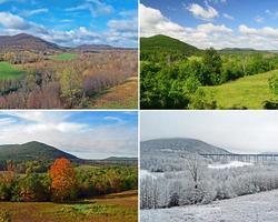 4 seasons at the same spot photo