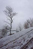 nieve en la montaña en temporada de invierno foto