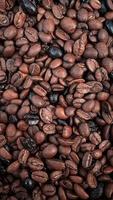 roasted coffee beans, food and drink photo