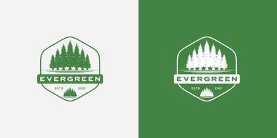 Rustic vintage evergreen, pines, spruce, cedar trees logo emblem vector