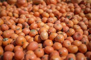 Tilt Shift Miniature Effect of Pumpkin Pile Background photo