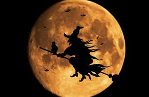 A witch riding a broom on the sky on halloween night. photo