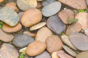 Stone in the garden photo