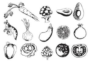 Set of monochrome hand drawn vegetables. Graphics. Vector illustration isolated on white background.