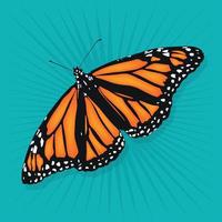 Ilustración de vector de mariposa monarca