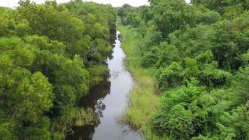 Aerial top view shot over tropical river and lush green forest video