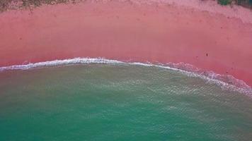 Aerial view of pink sand beach with deep blue sea color and white crashing wave in summer with copy space for travel and vacation concept video