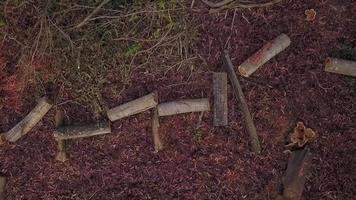 vista aérea da extração ilegal de madeira e desmatamento para agricultura e agricultura pesada video